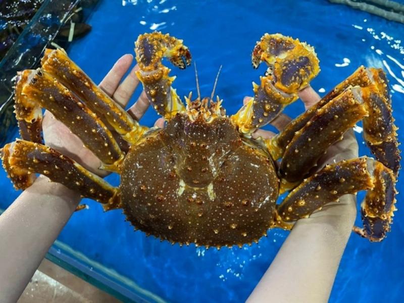 Bảng giá tham khảo các loại cua hoàng đế ảnh hưởng đến cua hoàng đế giá bao nhiêu 1kg