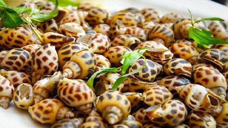 Các loại ốc ngon