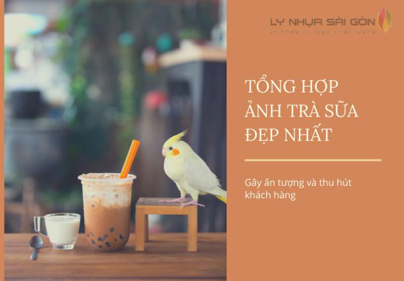 Hinh anh ly tra sua khoai mon mau tim nhat