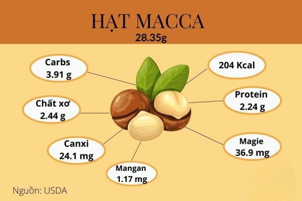 thành phần dinh dưỡng trong hạt macca