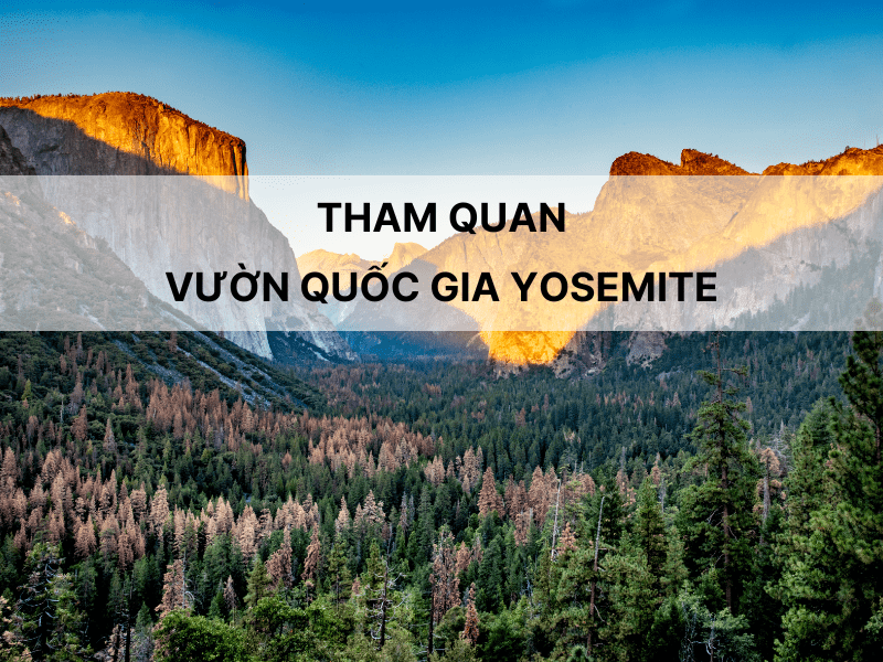 Vườn Quốc Gia Ba Vì xanh mướt, hùng vĩ, điểm đến lý tưởng cho những ai yêu thiên nhiên