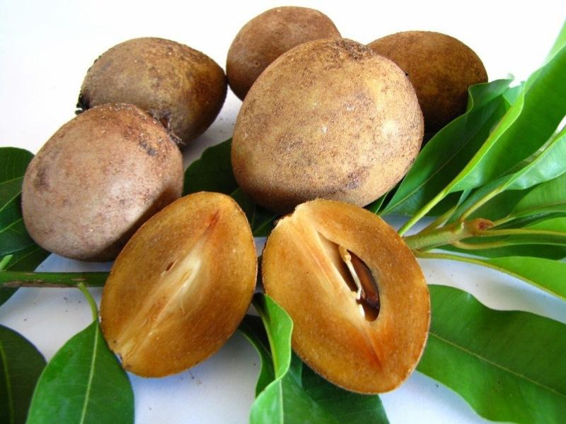 Hồng xiêm vitamin khoáng chất