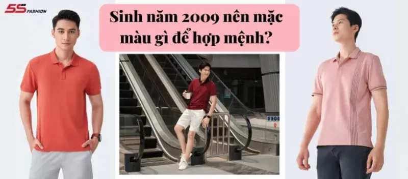 Bảng màu sắc hợp mệnh cho người sinh năm 2009 bao gồm các màu thuộc hành Thổ và Hỏa