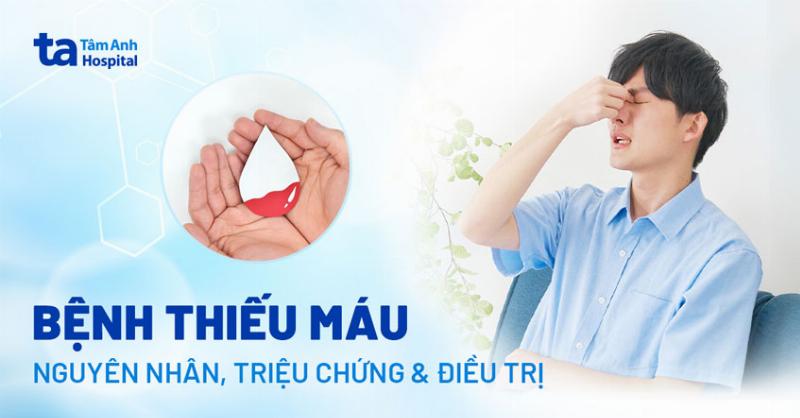 Màu sắc và hình dạng tương sinh với 20 triệu