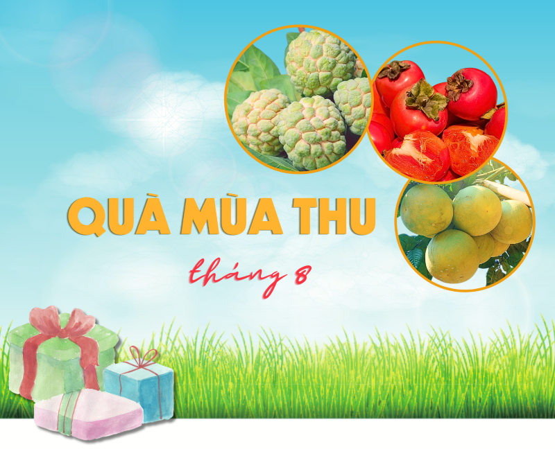 Trái cây mùa thu: Hồng, bưởi, na