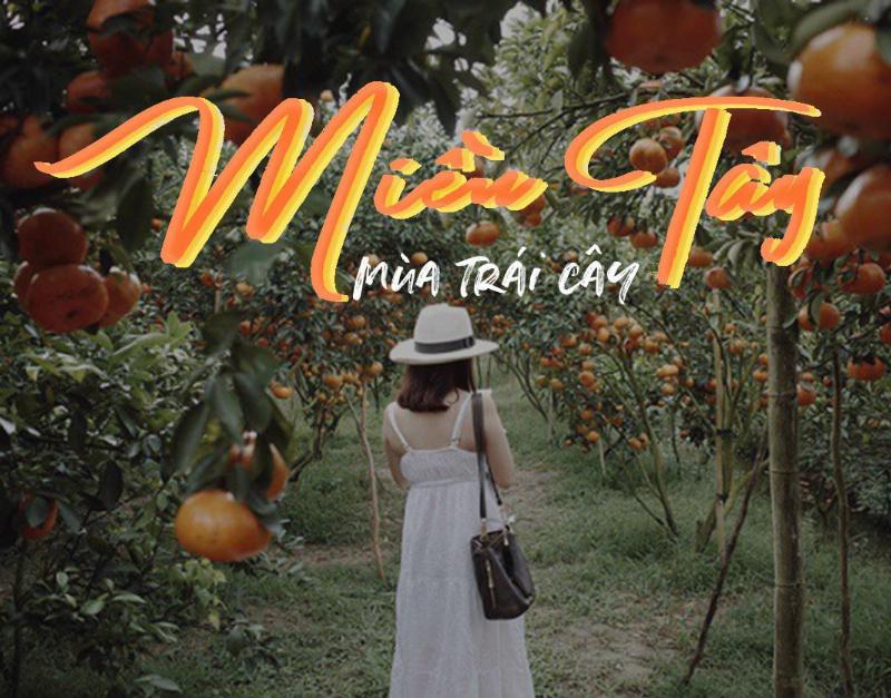 Trái cây mùa xuân: Dâu tây, mận, chôm chôm