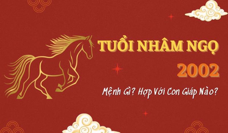 Tuổi Ngọ 2002 và Tuổi Hợi 1995: Mệnh Ngũ Hành