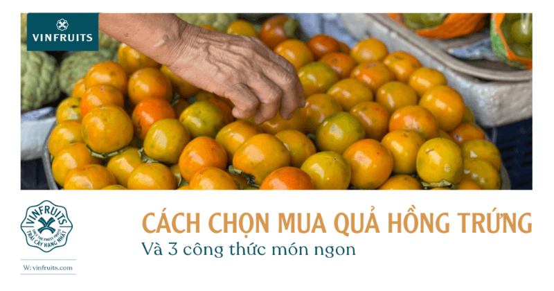 Cách chọn quả hồng trứng gà ngon