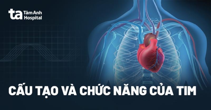 Quan hệ giữa cm khối và dm khối trong phong thủy