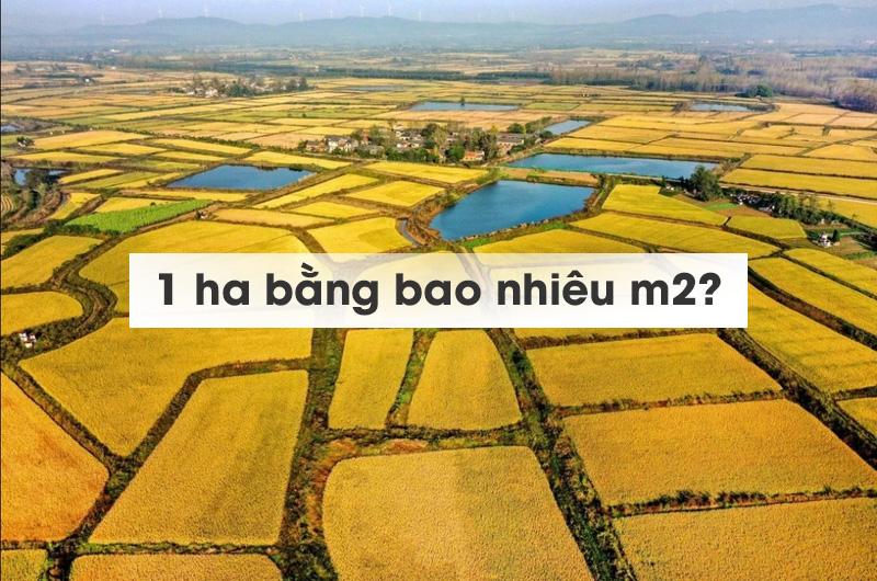 Quy đổi 100m sang cm trong phong thủy