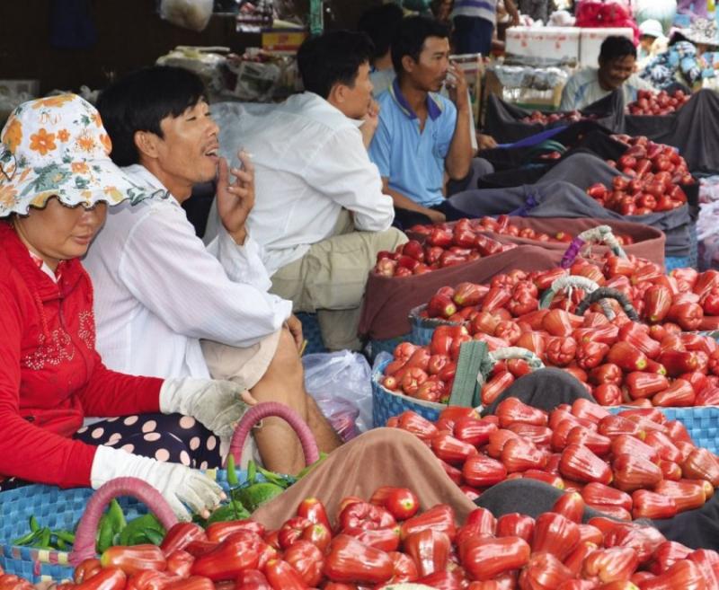 Trái cây mùa hè ngọt ngào