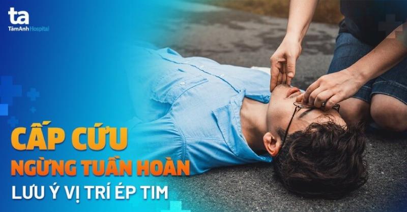 Vòng tuần hoàn sinh khí trong 60 giây