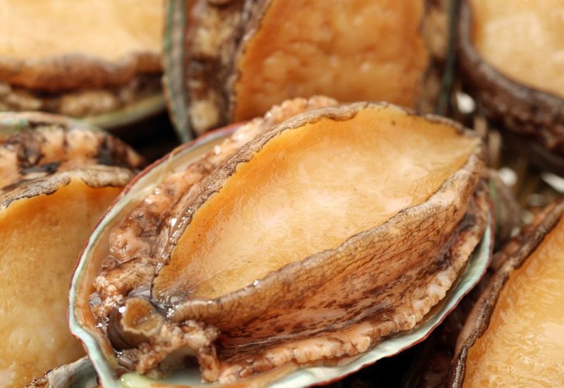 Hinh anh bao ngu tuoi nguyen con chin muoi