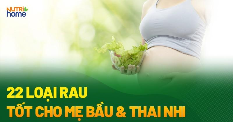 Hình ảnh các loại rau ăn lẩu phổ biến như rau muống, cải thảo, rau cần sắp xếp trên đĩa