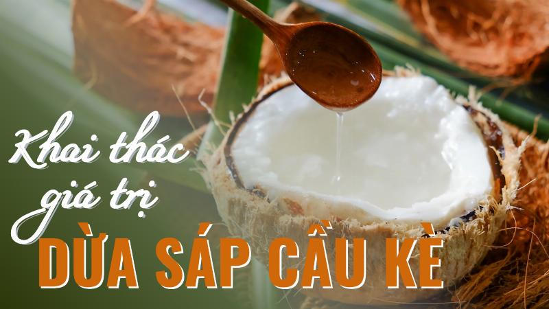 Trái dừa sáp Bến Tre bổ ra thấy cơm dừa đặc quánh, loại đặc sản quý làm quà.