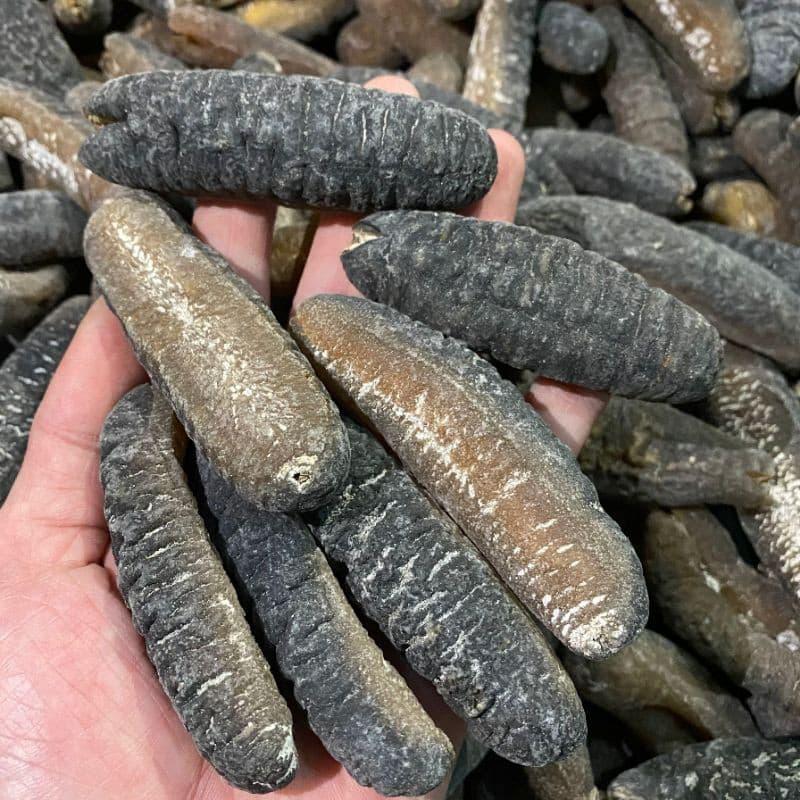 Hải sâm khô đã qua sơ chế cần ngâm nở kỹ trước khi chế biến