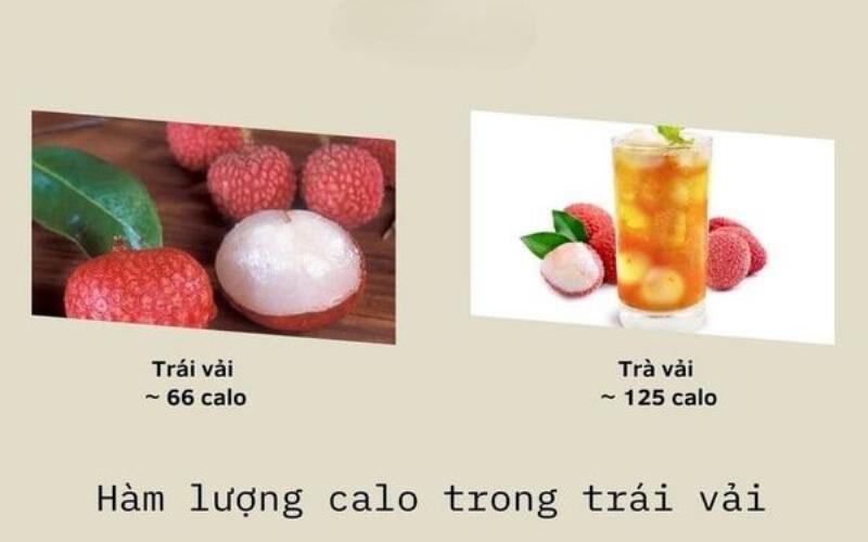 Hạt sen tươi mọng nước và câu hỏi hạt sen bao nhiêu calo khi còn tươi