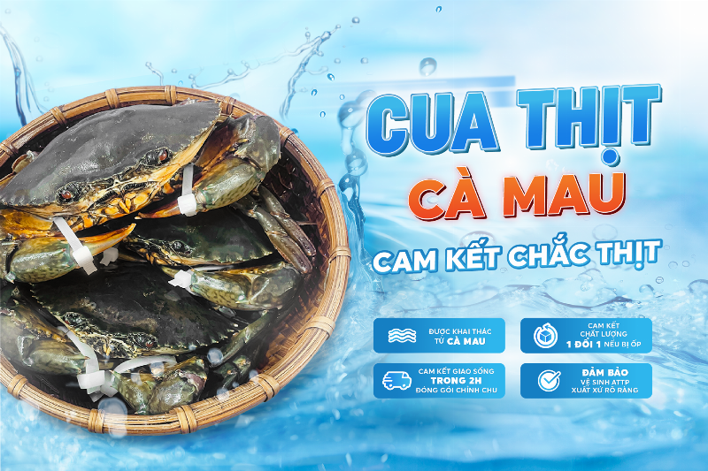 Kiểm tra chất lượng hải sản tươi sống tại công ty Đảo Hải Sản