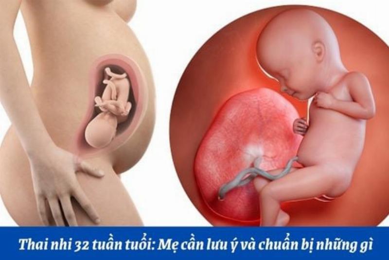 Mô tả hình ảnh lợi ích dinh dưỡng của rong biển đối với sức khỏe mẹ bầu và sự phát triển của thai nhi, minh họa bằng các chất dinh dưỡng nổi bật như i-ốt, canxi, sắt.
