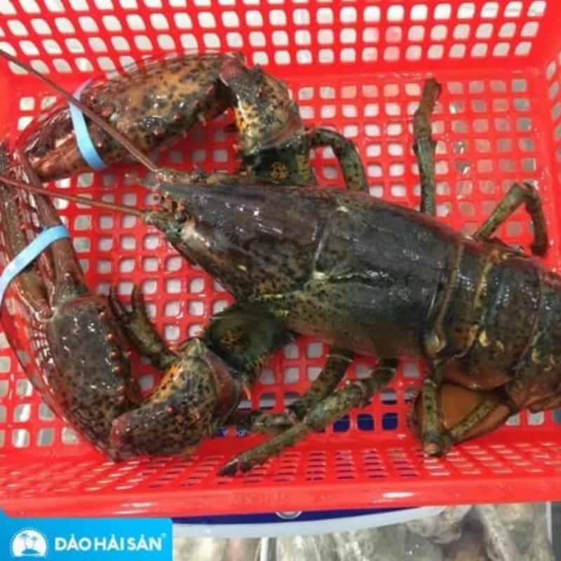 Người phụ nữ đang lựa chọn hải sản tươi ngon từ cửa hàng của công ty TNHH Đảo Hải Sản