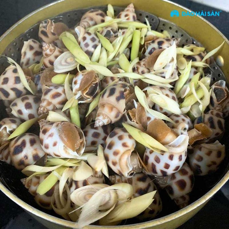 chon oc huong tuoi ngon hap khong bi dai