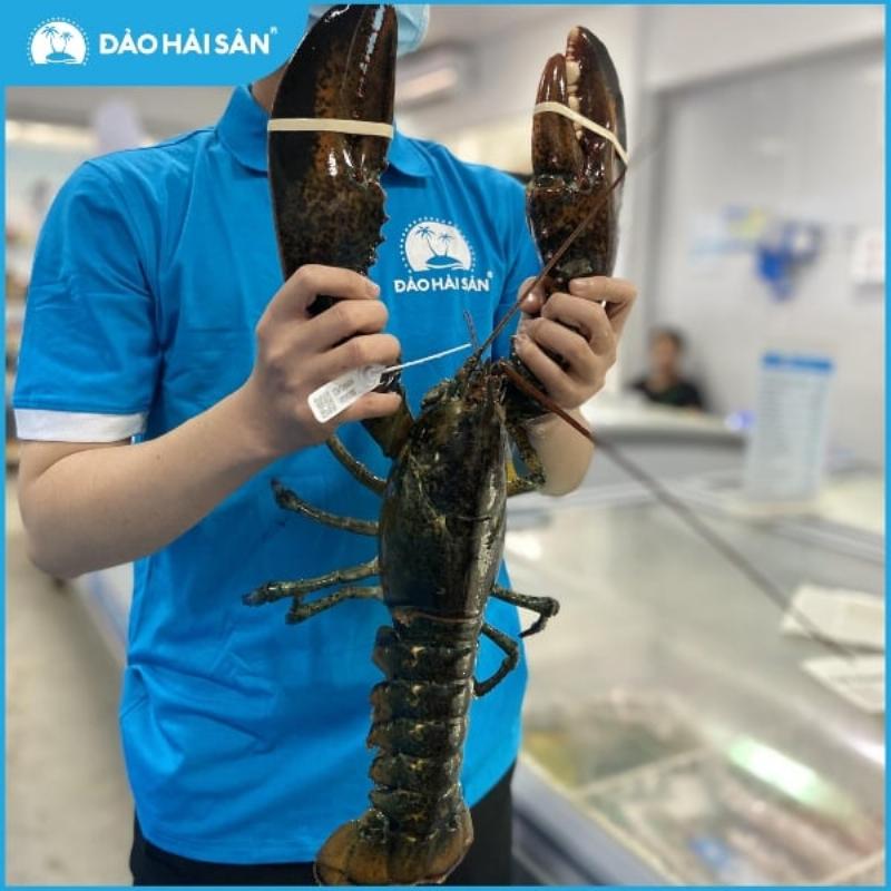 Hình ảnh các yếu tố ảnh hưởng đến giá tôm Alaska: kích thước, tươi sống, mùa vụ, nguồn gốc, nơi bán
