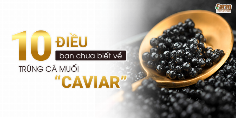 Một hộp trứng cá tầm cao cấp với những hạt trứng căng mọng, màu sắc khác nhau tùy loại, đặt trên nền tối, thể hiện sự sang trọng và giá trị của sản phẩm.