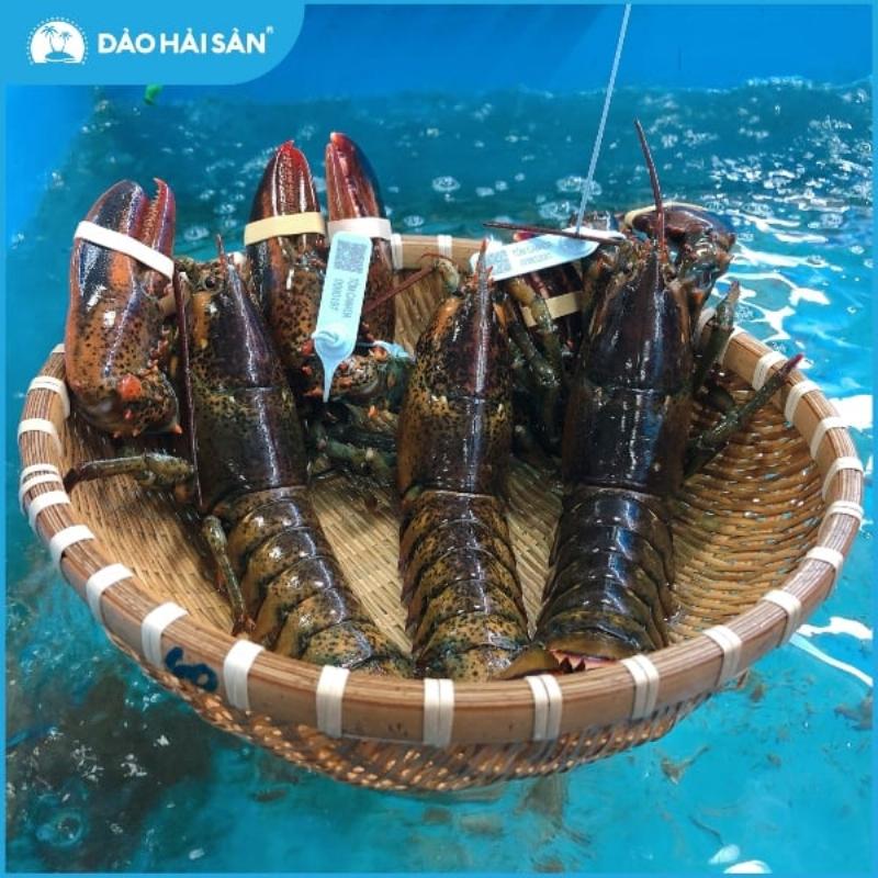 Cac yeu to nhu kich thuoc mua vu va nguon goc anh huong den gia tom hum Alaska