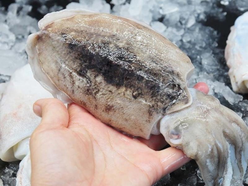 Món bào ngư hấp gừng sả thơm lừng, giữ trọn vị ngọt tự nhiên, trình bày đẹp mắt với rau trang trí
