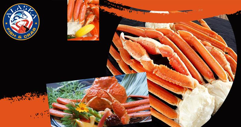 Bát cơm trứng cá hồi Ikura Don hấp dẫn