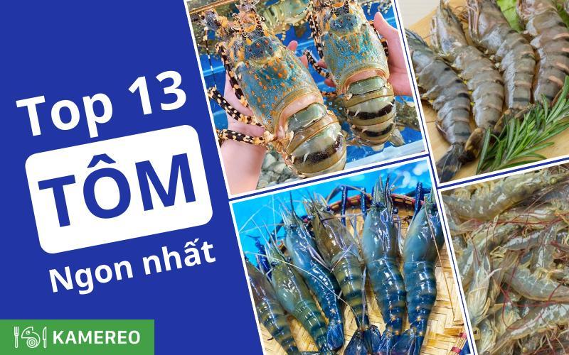 Hình ảnh so sánh các loại tôm hùm phổ biến và khoảng giá khác nhau của chúng trên thị trường