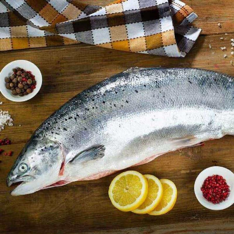 Tổng hợp các món ăn hấp dẫn có thể chế biến từ cá hồi nguyên con, bao gồm sashimi, nướng, lẩu, canh