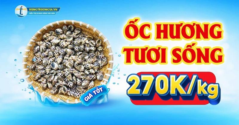Huong dan chi tiet cach lua chon oc huong size 200 con tuoi ngon tai cho hoac cua hang hai san