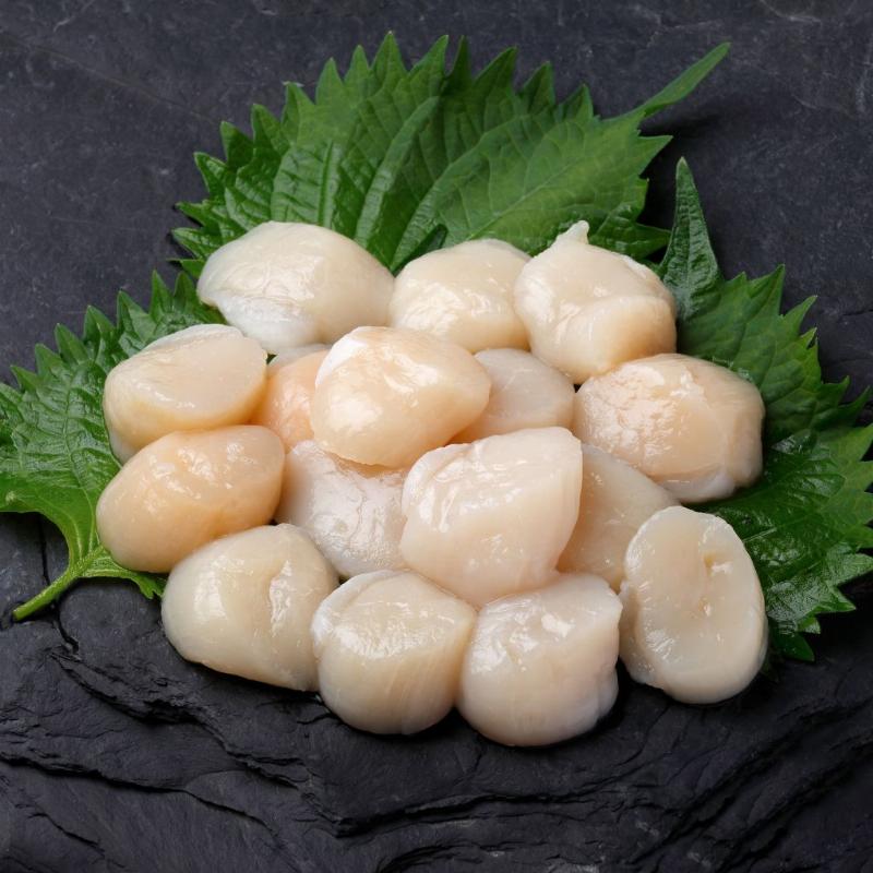 Nơi mua sò điệp Nhật đông lạnh chất lượng và đáng tin cậy
