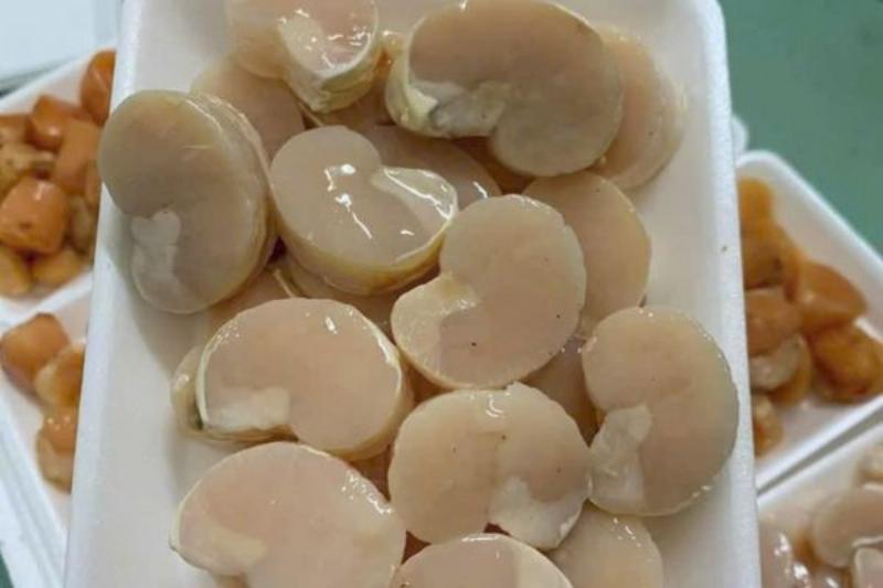 Chọn sò điệp Nhật đông lạnh ngon với bao bì nguyên vẹn, màu sắc tự nhiên và không nhiều đá bám