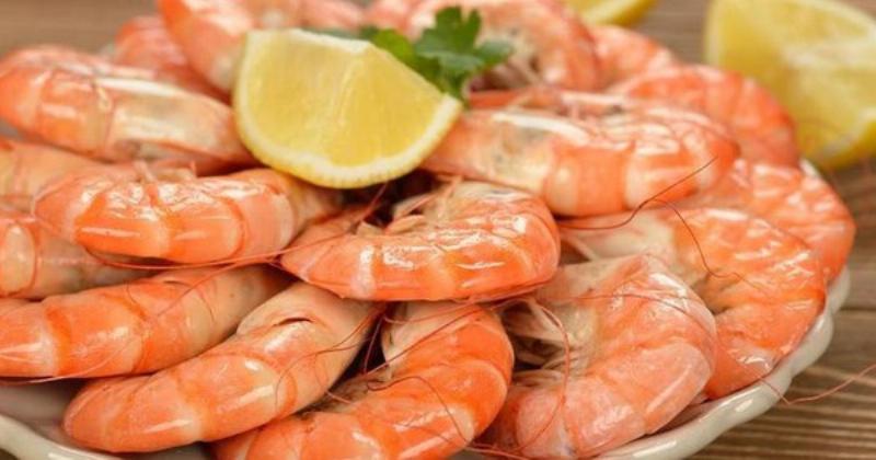 Cách chọn tôm tươi ngon để luộc đảm bảo hương vị tuyệt vời nhất