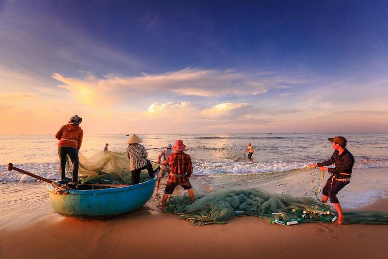 Hinh anh ghe bien tuoi ngon duoc bay ban voi ve ngoai hap dan the hien gia tri dinh duong cao