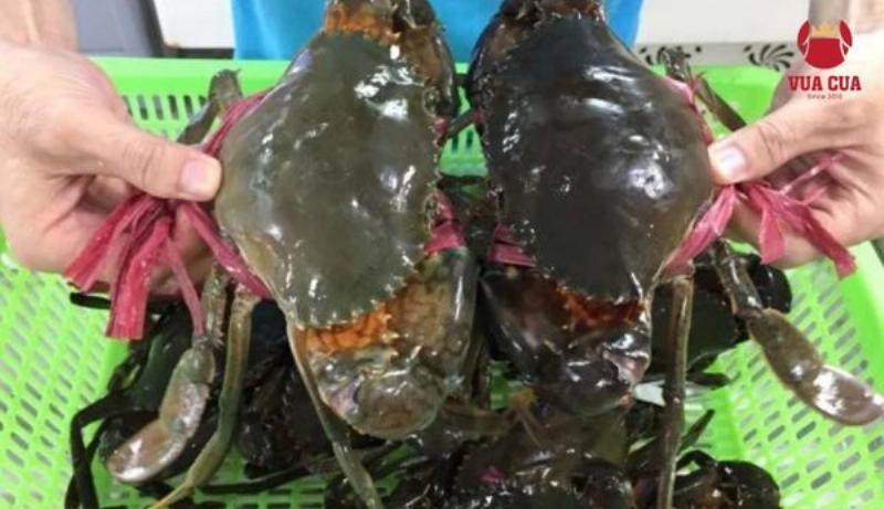 Đĩa cua gạch hấp thơm lừng nóng hổi
