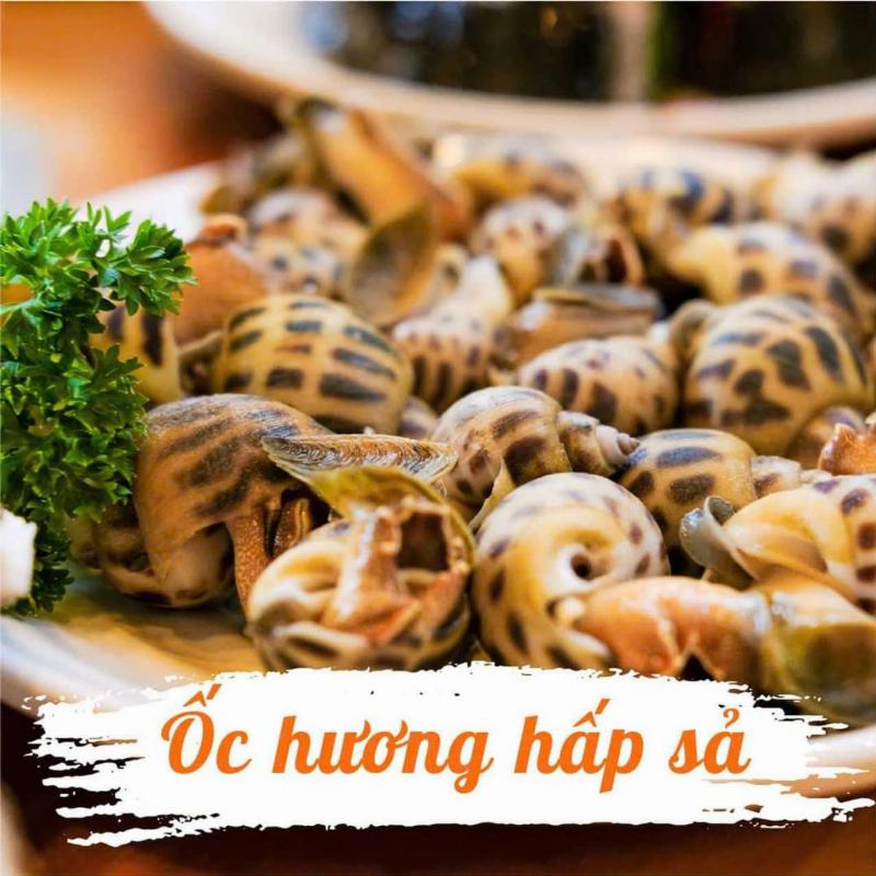 Dia oc huong hap sa thom lung mui sa hap dan tuyet voi