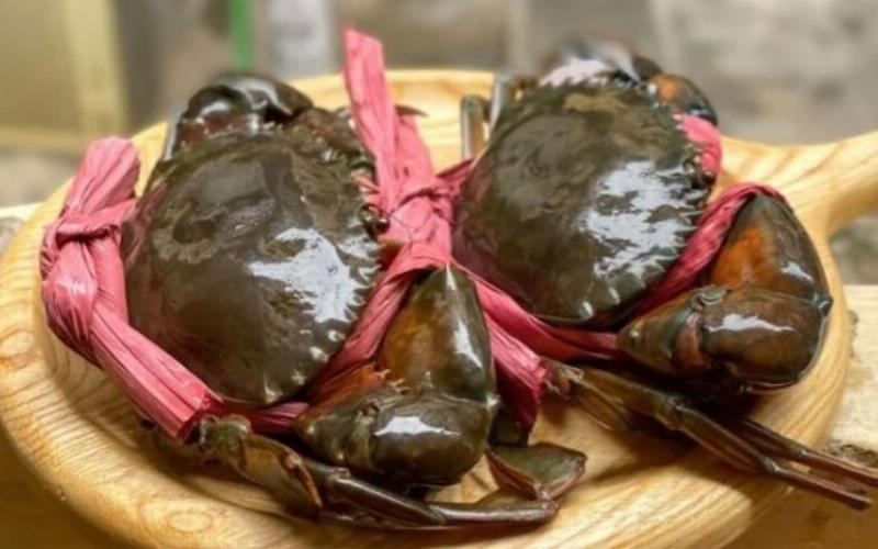 Hình ảnh minh họa cách phân biệt cua đực và cua cái dựa vào hình dạng yếm, giúp hiểu rõ hơn về cua đực có gạch không