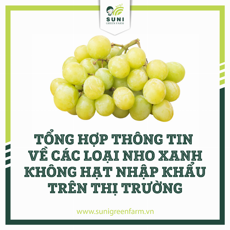 So sánh trực quan giữa chùm nho không hạt căng mọng và chùm nho có hạt thông thường