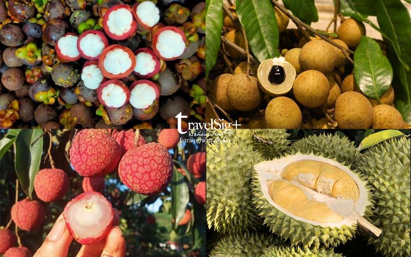 Một bát đầy cam và quýt tươi ngon, biểu tượng của trái cây mùa đông giúp tăng đề kháng